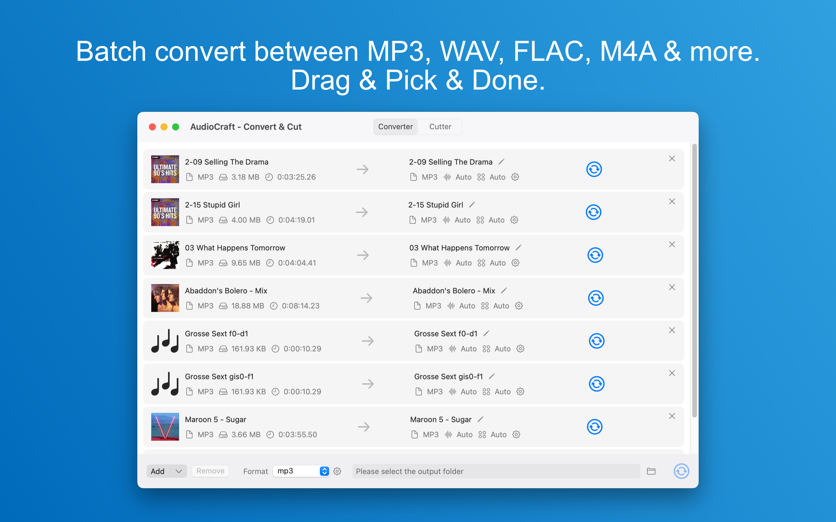 AudioCraft Converter view