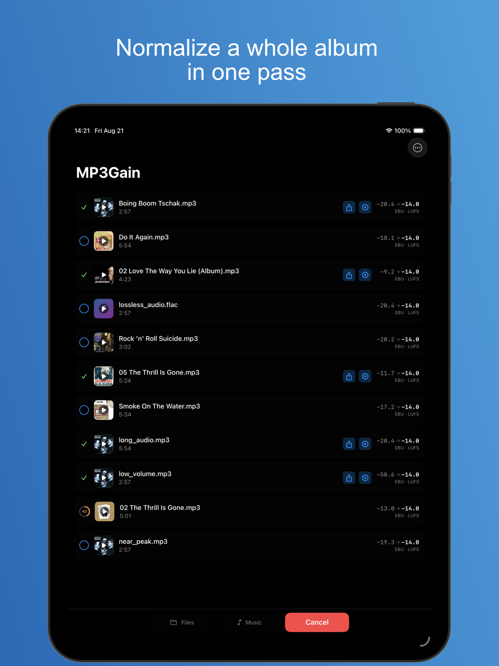 MP3Gain on iPad — batch progress across a queue