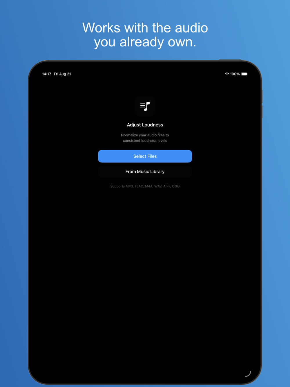 MP3Gain on iPad — free plan banner and supported formats
