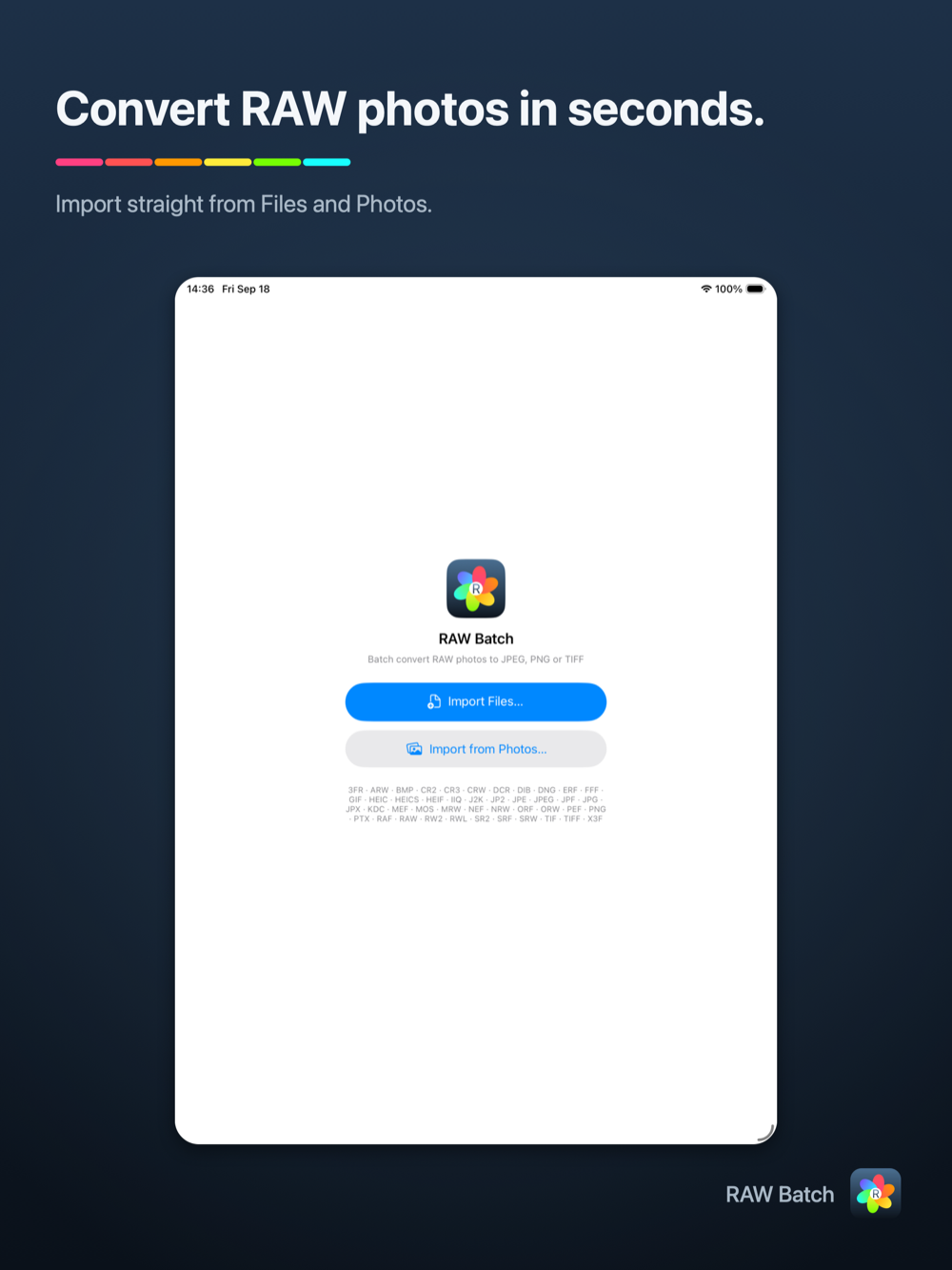 RAW Batch on iPad — importing a selection of RAW files