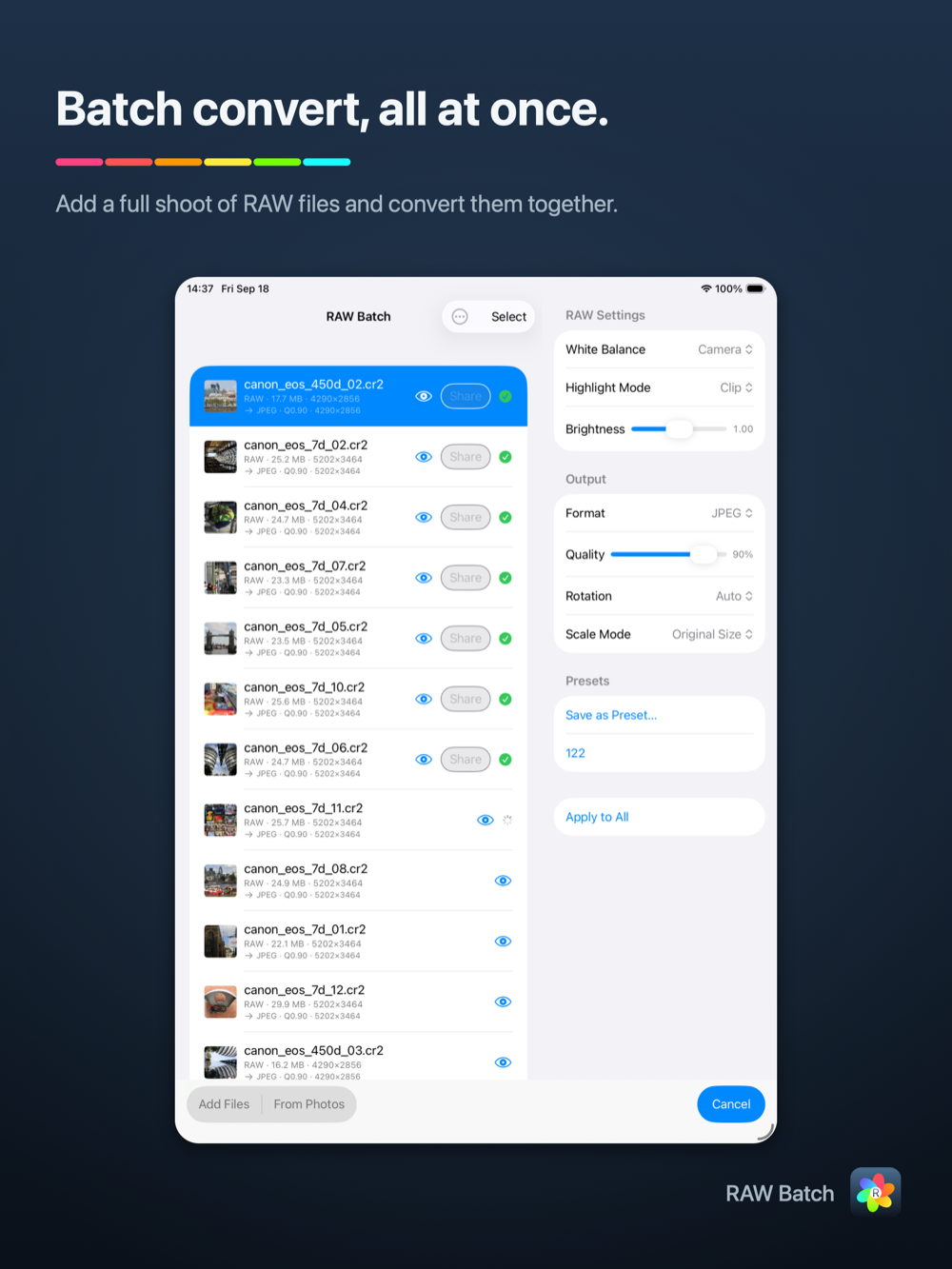 RAW Batch on iPad — two-column batch list and settings