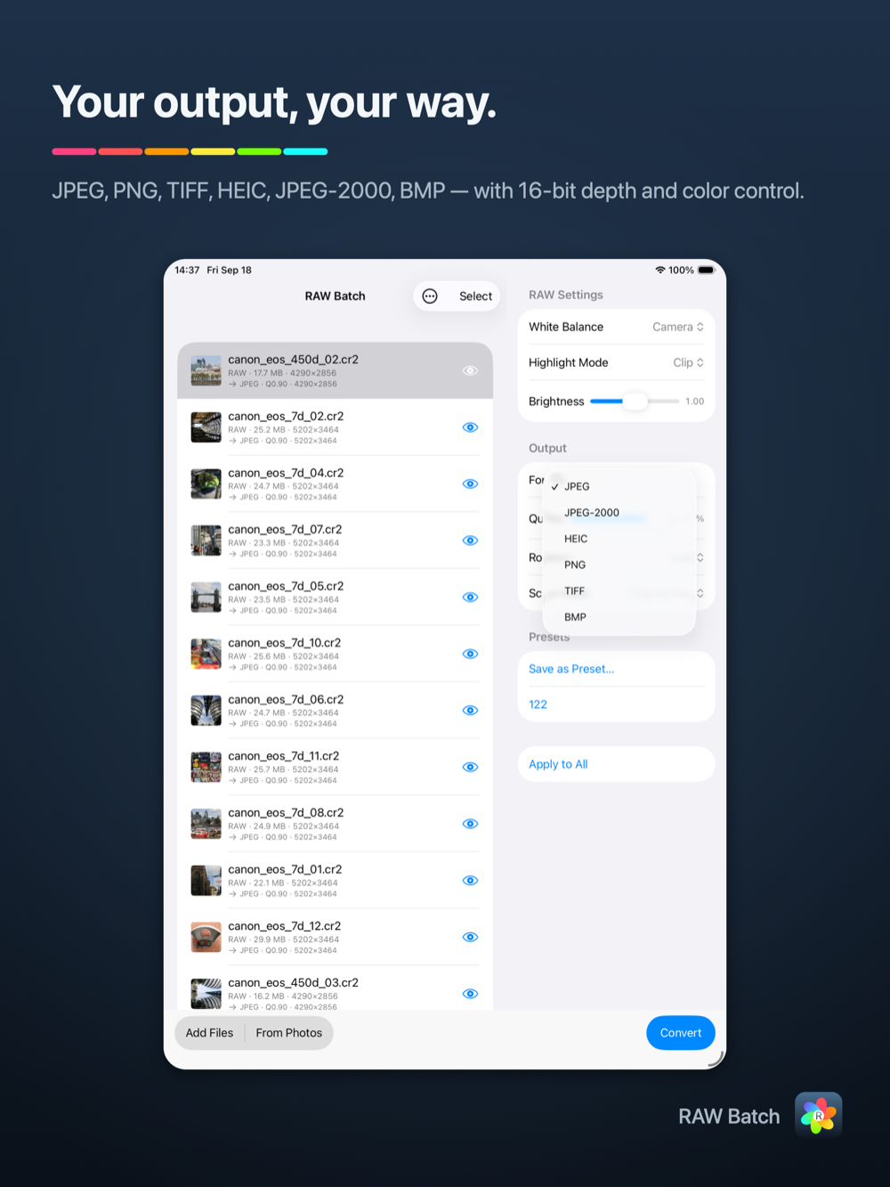 RAW Batch on iPad — output format and quality settings