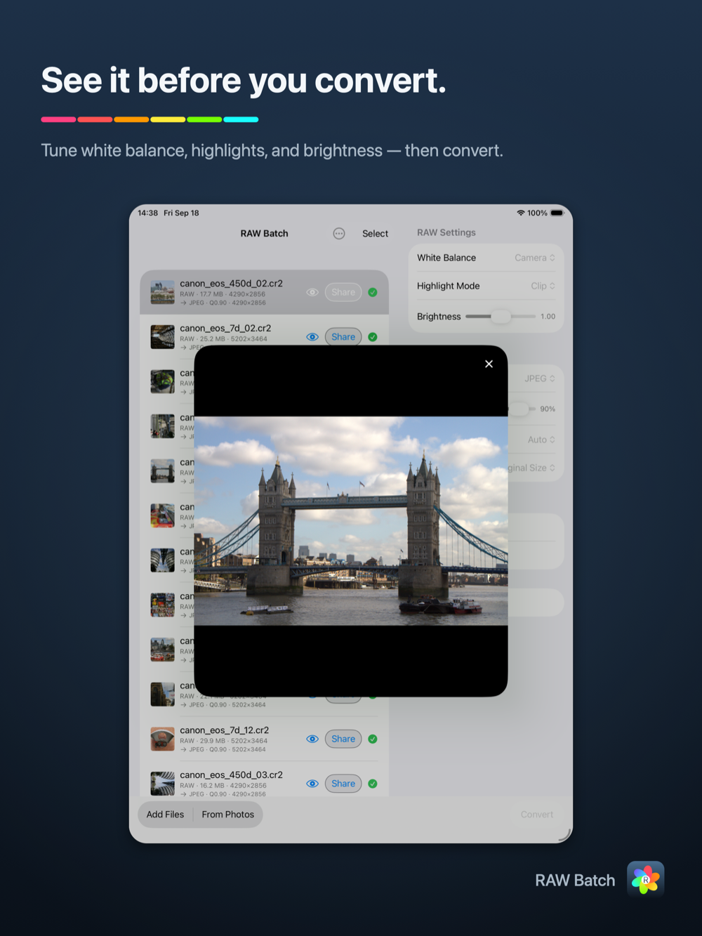RAW Batch on iPad — full-screen live preview