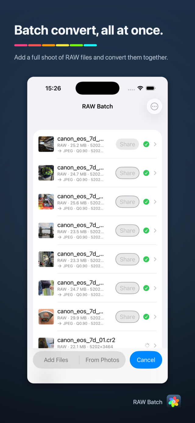 RAW Batch on iPhone — batch conversion with per-file progress
